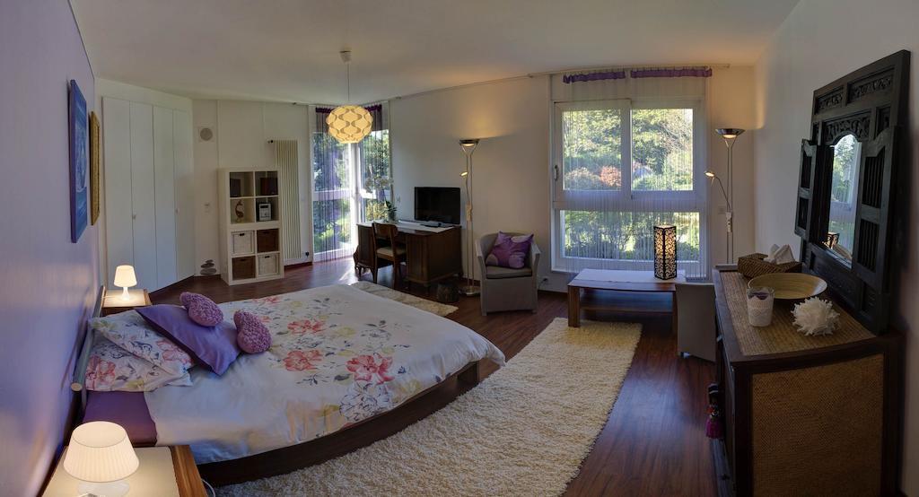 Villa Esprit3 Женева Стая снимка
