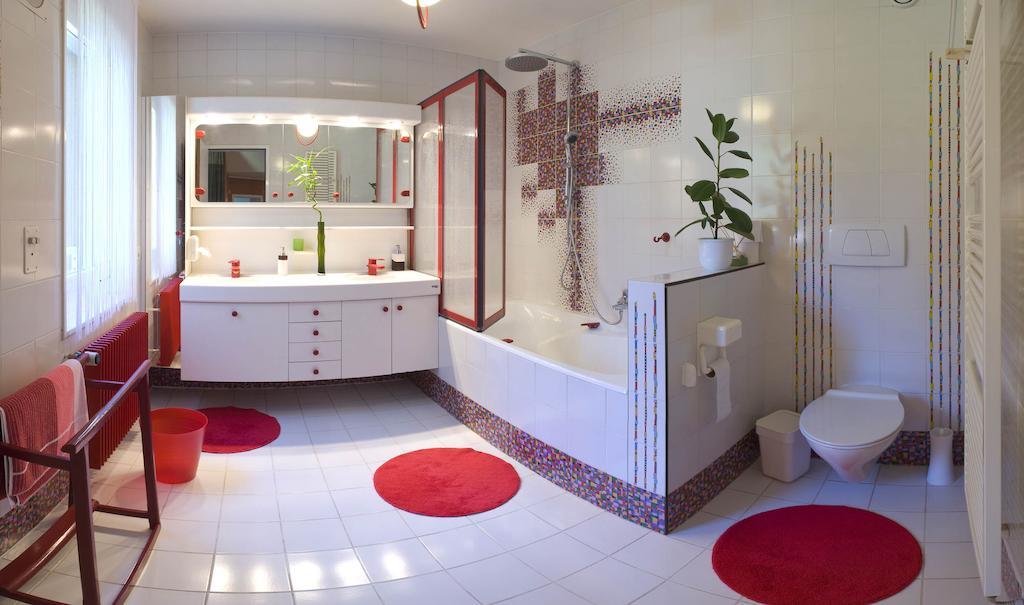Villa Esprit3 Женева Стая снимка